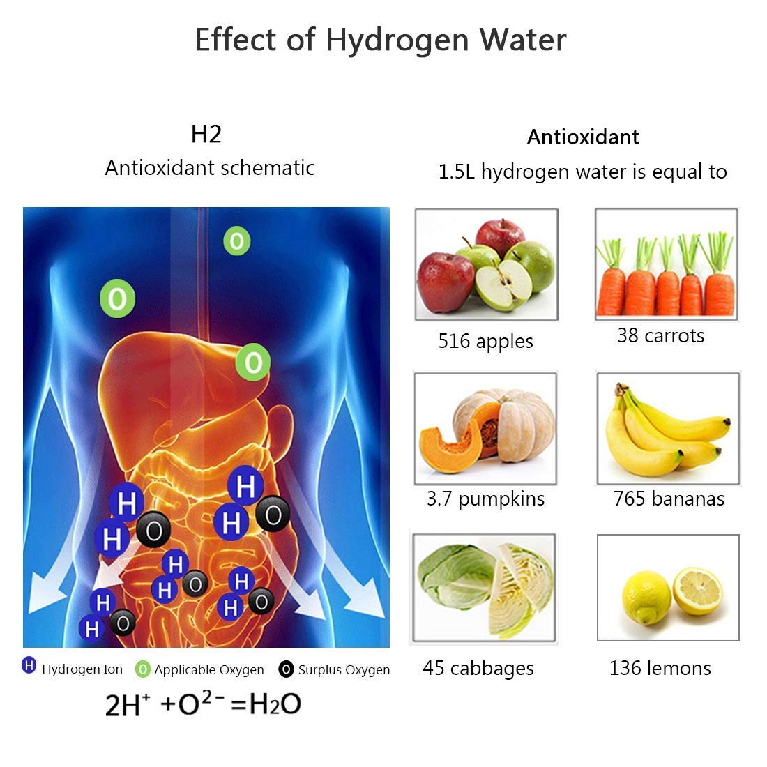 SENVES™  - HYDROGEN WATER BOTTLE